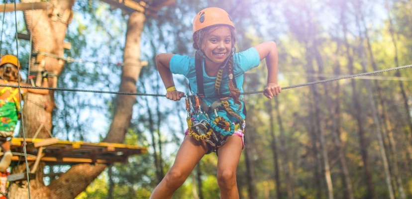 Image Jumping Forest