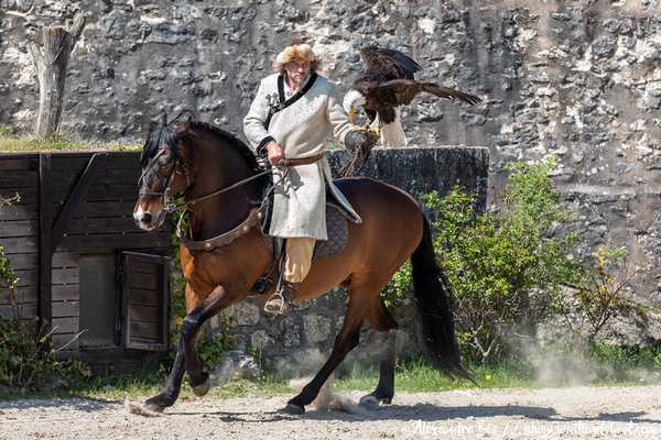 Image Les Aigles des Remparts