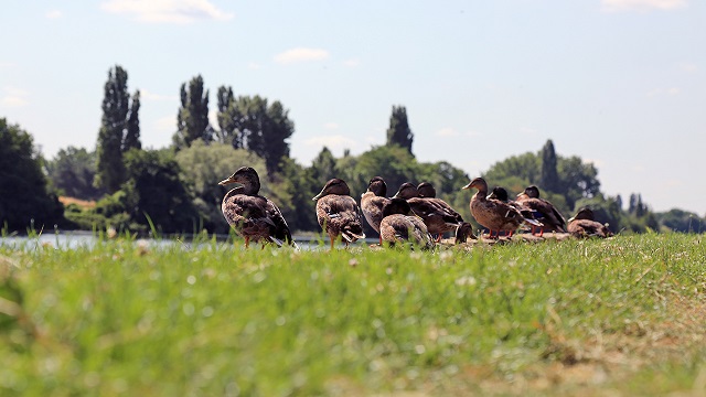 Image Parc interdépartemental des sports, plaine sud Choisy-le-Roi