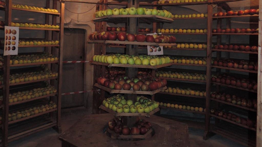 Image Les XXVe Vignandises : Journées gourmandes