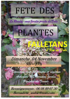 Image Foire aux plantes