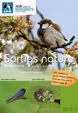 Image Parc Montsouris - Sortie ornithologique