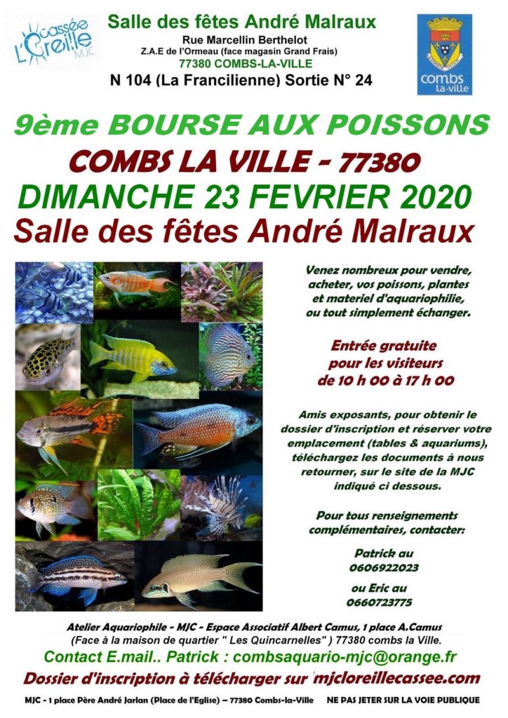 Image Bourse aux poissons