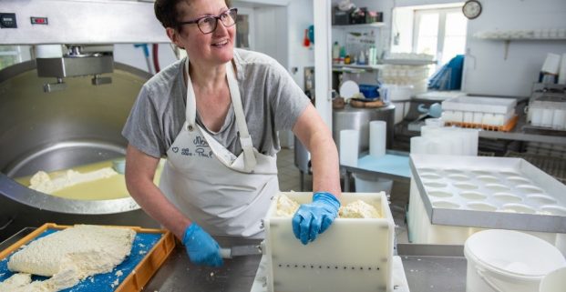 Image La Fourme de Montbrison fermière - La Ferme Plagne