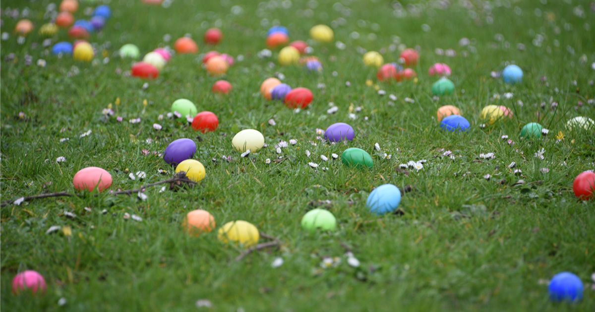 Image Chasse aux oeufs