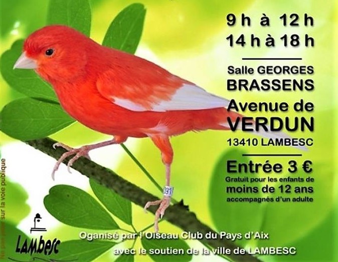 Image Exposition d'oiseaux de cages et de volières
