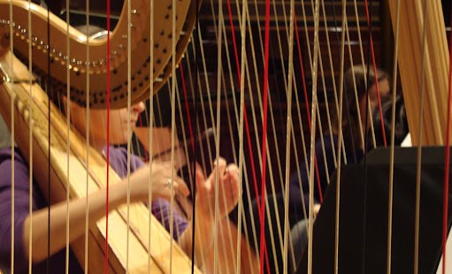 Image Festival - Automnales de La Harpe