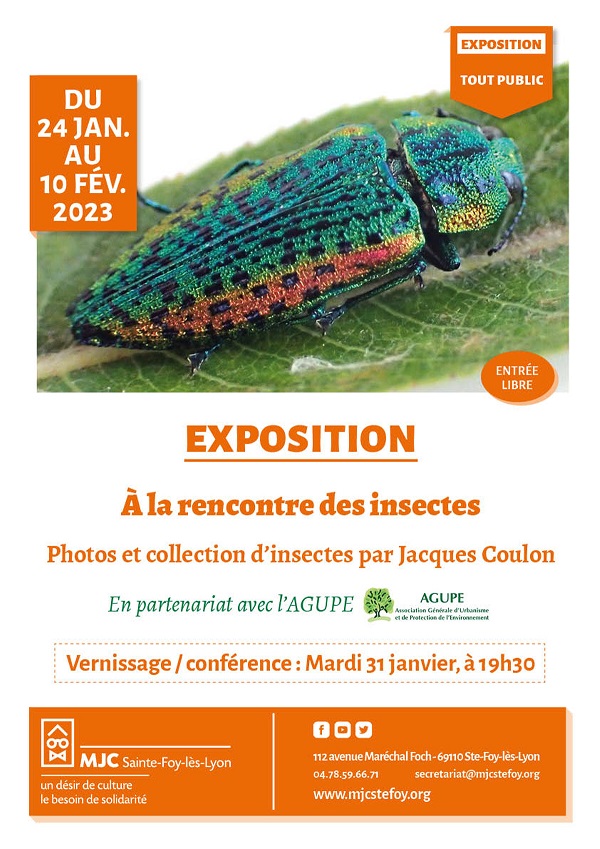 Image Exposition à la découverte des insectes par Jacques Coulon