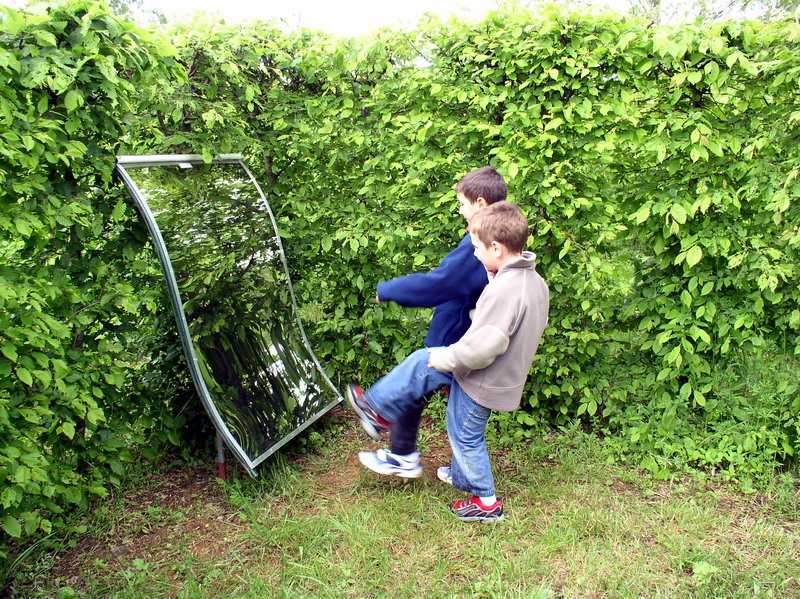 Image Le Jardin Fantastique