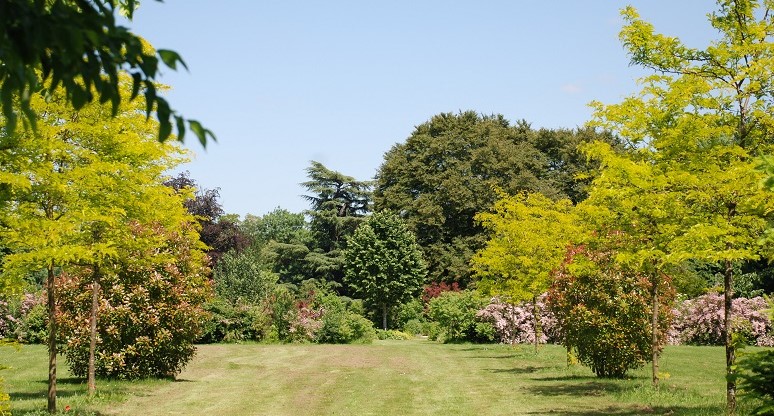 Image Arboretum du Val des Dames