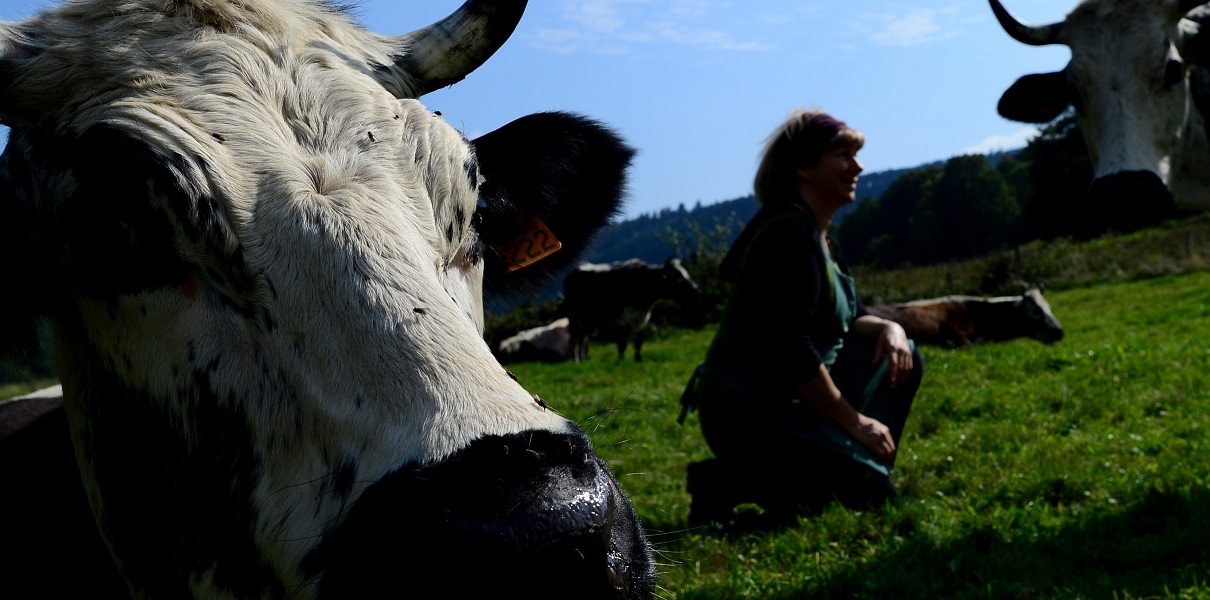 Image La ferme Humbert