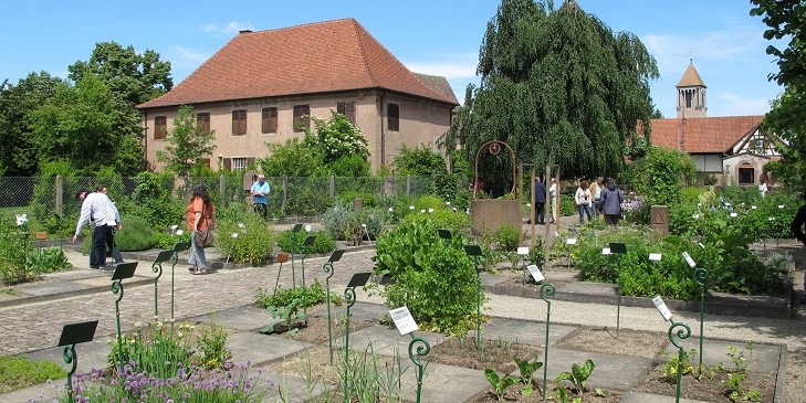 Image Eglise Saint-Trophime - Jardin monastique