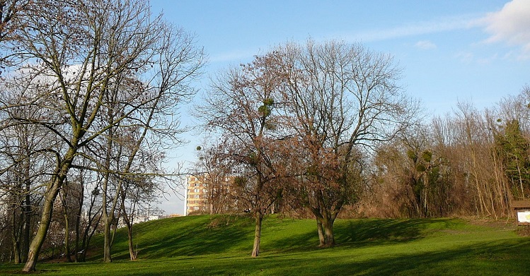 Image Parc des Beaumonts à Montreuil