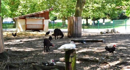 Image Le parc animalier René Canivenc, Le Moulineau