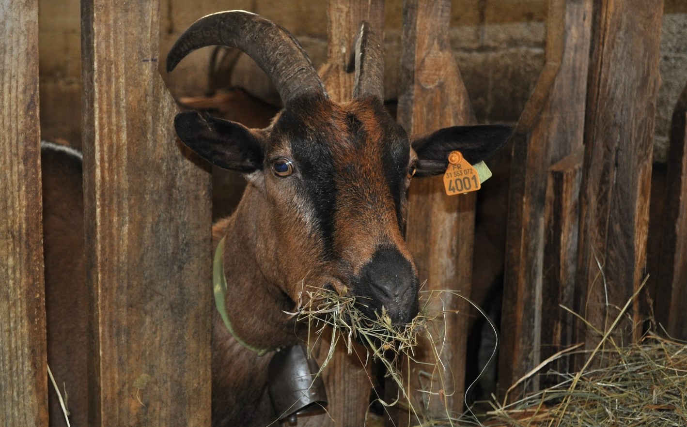 Image Ferme d'en Barrus