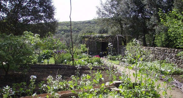 Image Jardins Ethnobotaniques de La Gardie