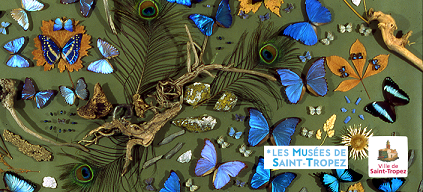 Image Maison des Papillons - Musée Dany Lartigue