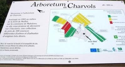 Image Arboretum de Charvols