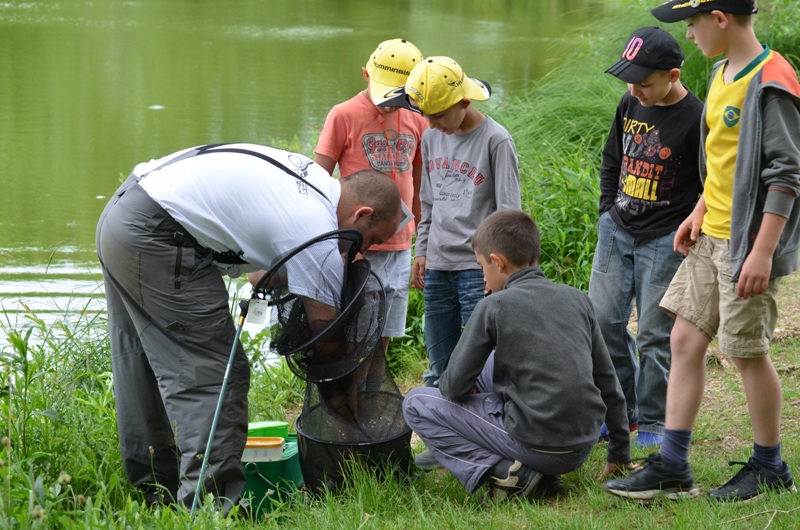 Image Ateliers pêche nature et journées pêche