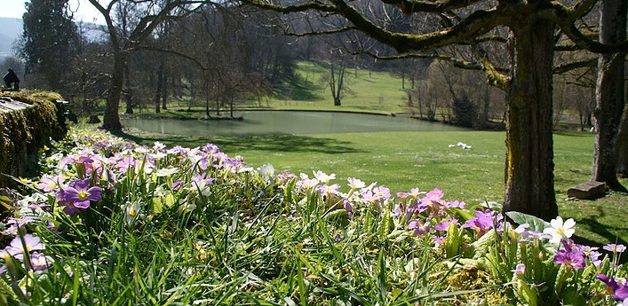 Image Jardins du Château de Barbirey