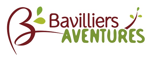 Image Bavilliers Aventures - Parcours aventure