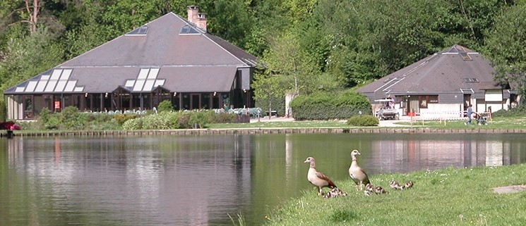 Image Domaine provincial du Bois des Rêves, parc de loisirs à Ottignies