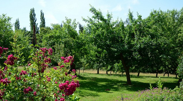 Image Jardin Botanique Jean Massart