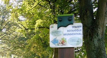 Image Sentier Botanique du Brunnenthal