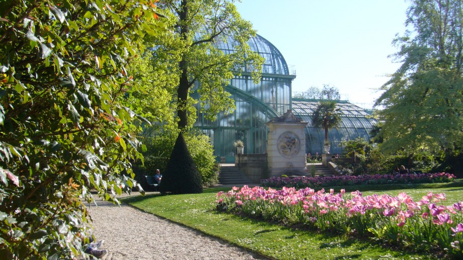 Image Jardin des serres d'Auteuil