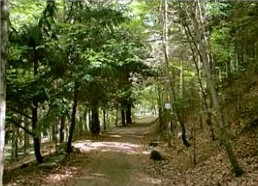 Image Arboretum et parc du château de Xertigny