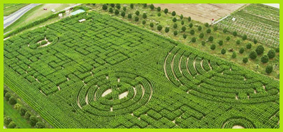Image Le Labyrinthe de Sénart